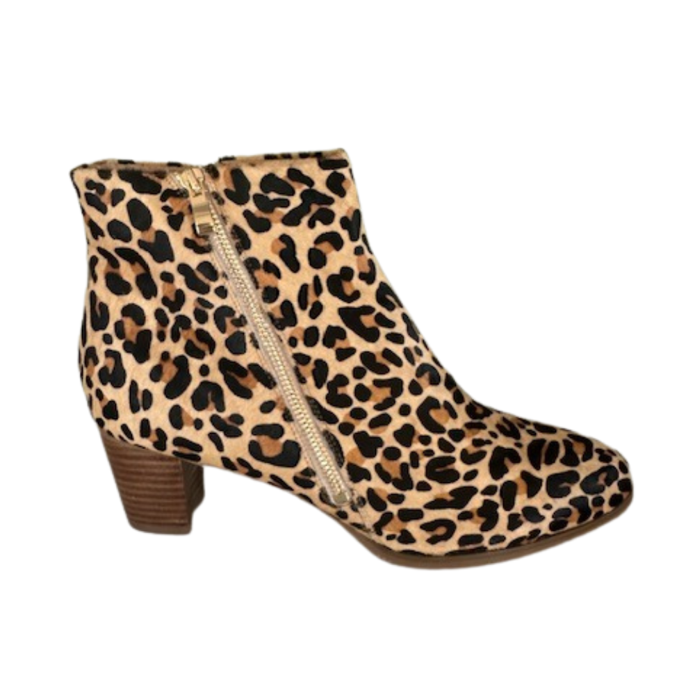 Chrissie Darwin Leopard