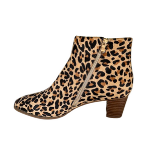 Chrissie Darwin Leopard